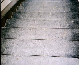 Fotogaleria